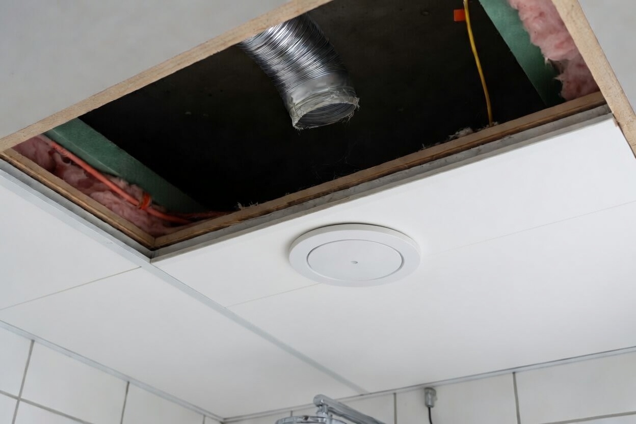 Frisug - vad betyder det vid OVK?